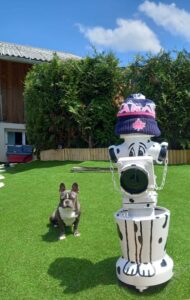 pension-canine-ain-09.02.02