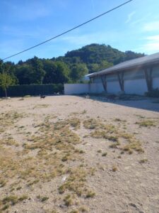 pension-canine-ain-09.08.49
